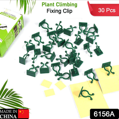 30pcs wall Plant Climbing Clip widely used for holding plants and poultry purposes and all (Box/30 Pcs Set)